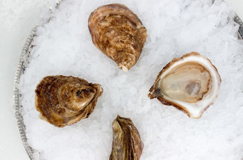 OYSTER, IRISH POINT 100 COUNT IN SHELL RAW REF BAG IMPORTED CANADA